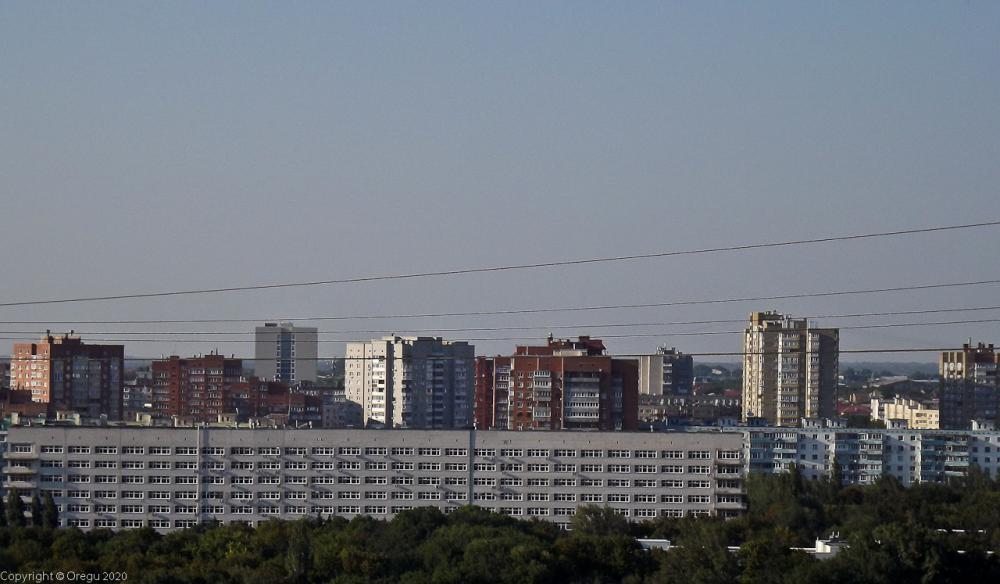 Каменные джунгли