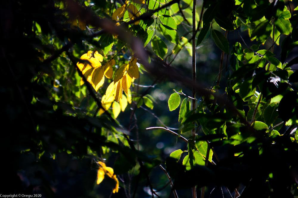 вид из окна