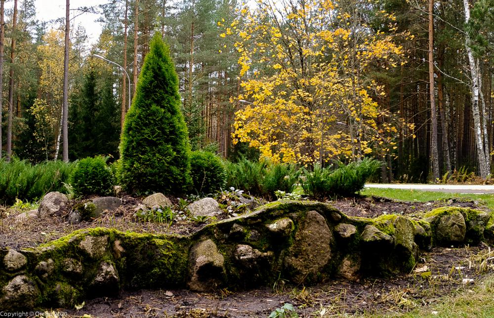 Природный ландшафт