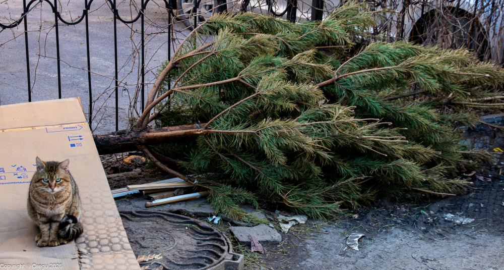 Последний день Зимы 2026