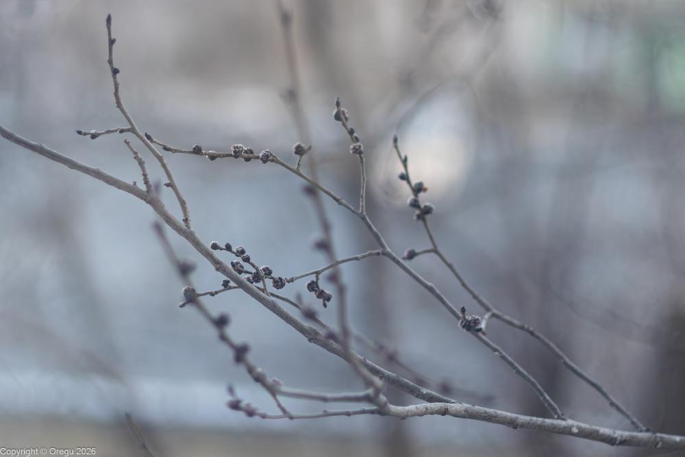 Начало весны