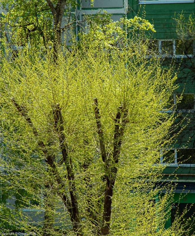 Наступление весны