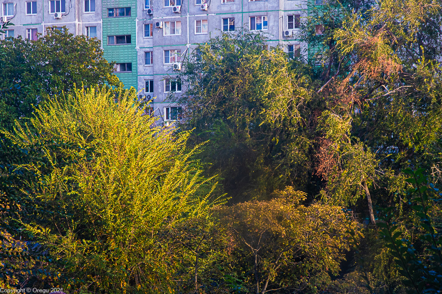 Осень в окне