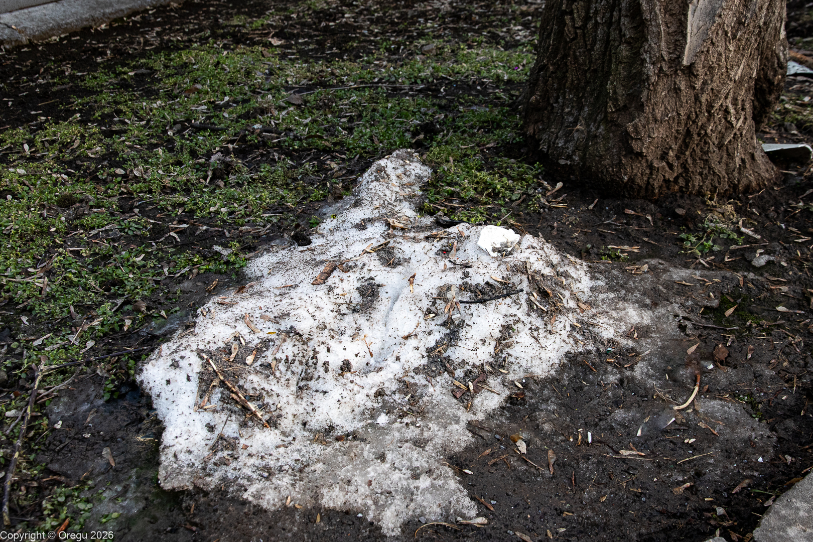 Последний сугроб зимы