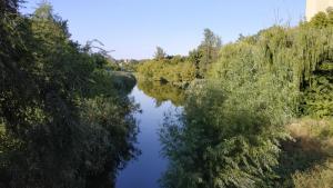 река в городе