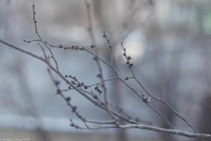 Начало весны